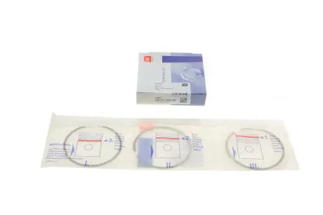 120021008100 Кільця поршневі NPR підбір по vin на Brocar