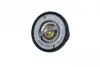 Термостат Renault Master 3.0dCi 04- (86°C) 725088