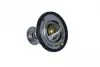 725088 Термостат Renault Master 3.0dCi 04- (86°C) NRF підбір по vin на Brocar