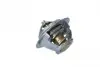 725181 Термостат Renault Koleos/Laguna III/Megane III 2.0 16V 07- NRF підбір по vin на Brocar
