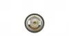 725124 Термостат Peugeot Boxer 2.8HDI 86- NRF підбір по vin на Brocar