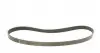 529005210 Комплект ременя генератора Audi A4/VW Golf V/VI/Passat 2.0 TFSI 04-12 (6PK 1053) INA підбір по vin на Brocar