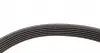 529004610 Комплект ремня генератора Citroen Berlingo/Peugeot Expert/Partner 1.6 HDi05- (6PK1708) INA підбір по vin на Brocar
