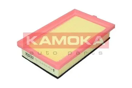 F243101 Фільтр повітряний KAMOKA підбір по vin на Brocar
