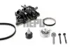 Комплект ГРМ + помпа VW Caddy IV/Passat/Golf 1.4 TSi/TGI 15- (10x87z)(+ ремінь помпи) PK06870