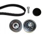 Комплект ГРМ VW Passat/Audi A4/A6 2.5 TDI 97-06 20-1351