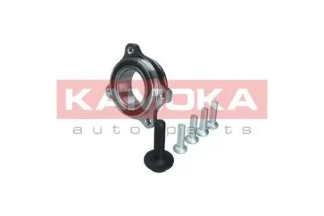 5500174 Маточина колеса KAMOKA підбір по vin на Brocar