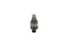 0281002966 Элемент системы Common Rail BOSCH підбір по vin на Brocar