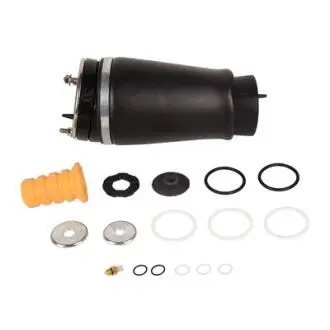 BF0320240029 Пневмобалон передний левый (без адаптивной жестко BAPMIC підбір по vin на Brocar