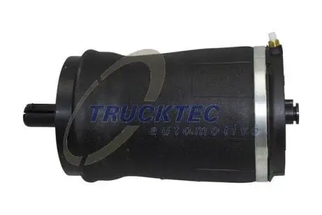 2230004 PODUSZKA PNEUM. ZAWIESZENIA LAND ROVER TRUCKTEC подбор по vin на Brocar