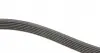 FB6PK2528 Ремінь генератора MB S-class (W221/W222)/E-class (W212) 4.7-5.5 11-17/Porsche Macan 3.0-3.6 14- INA підбір по vin на Brocar