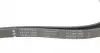 FB6PK2528 Ремінь генератора MB S-class (W221/W222)/E-class (W212) 4.7-5.5 11-17/Porsche Macan 3.0-3.6 14- INA підбір по vin на Brocar