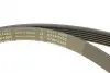 529009110 Комплект ремня генератора Opel Astra/Vectra 89-02 (6PK1903) INA підбір по vin на Brocar