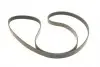 529009110 Комплект ремня генератора Opel Astra/Vectra 89-02 (6PK1903) INA підбір по vin на Brocar