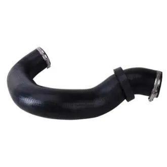 BF0422700169 Шланг вакуумный BAPMIC подбор по vin на Brocar
