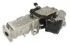 710993000 Клапан EGR PIERBURG підбір по vin на Brocar