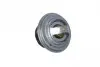 725184 Термостат Chrysler Voyager III 90-08/Dodge Caravan 95-01/Ford Scorpio II 2.5TD 94-98 NRF підбір по vin на Brocar