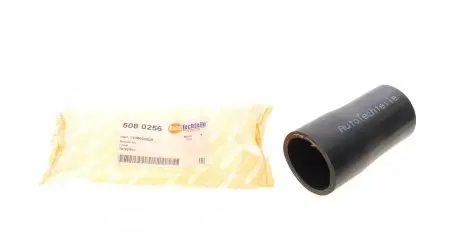 5080256 Патрубок интеркулера Renault Megane III 1.5 dCi 08- AUTOTECHTEILE підбір по vin на Brocar