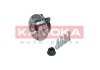 5500324 Подшипник ступицы (передней) Renault Kadjar/Nissan Qashqai 15- (+ABS) KAMOKA підбір по vin на Brocar
