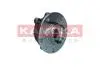 Підшипник ступиці (передній) Renault Kadjar/Nissan Qashqai 15- (+ABS) 5500324