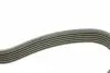 9060900 Ремень генератора VW Caddy/Golf/Skoda Octavia 1.6/2.0 04-15/Fiat Ducato 2.5TDI 94-02/Scudo 1.6 96-06 AUTOTECHTEILE підбір по vin на Brocar