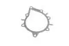 PA10114 Помпа води Citroen C4-C8/Jumper/Peugeot 308/407/Ford Focus 2.0-2.2HDi/D/TDCi 06- (B/B)(8 лоп) BUGATTI підбір по vin на Brocar