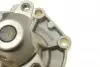 PA7701 Помпа воды Renault Kangoo/Master/Laguna/Megane/Opel Movano 1.8/1.9dCi/dTi/D/2.0 95-03 (R/B)(8лоп) BUGATTI підбір по vin на Brocar
