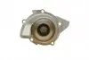 PA10170 Помпа води Citroen C4/C5/C8/Jumpy/Fiat Scudo/Peugeot 308/407/Ford Focus 2.0HDI 06-(B/B)(24лоп) BUGATTI підбір по vin на Brocar