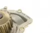 PA10170 Помпа води Citroen C4/C5/C8/Jumpy/Fiat Scudo/Peugeot 308/407/Ford Focus 2.0HDI 06-(B/B)(24лоп) BUGATTI підбір по vin на Brocar