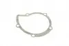 PA10170 Помпа води Citroen C4/C5/C8/Jumpy/Fiat Scudo/Peugeot 308/407/Ford Focus 2.0HDI 06-(B/B)(24лоп) BUGATTI підбір по vin на Brocar