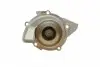 PA10170 Помпа води Citroen C4/C5/C8/Jumpy/Fiat Scudo/Peugeot 308/407/Ford Focus 2.0HDI 06-(B/B)(24лоп) BUGATTI підбір по vin на Brocar