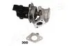 EGR300 Клапан рециркуляции ОГ (EGR) Berlingo 05-,C4/5 III,Jumpy,Ford,Peugeot 1.6HDI/TDCi JAPANPARTS підбір по vin на Brocar