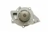 PA7409 Помпа води Citroen C4-C8/Jumpy 2.0-2.2HDi/Fiat Scudo 2.0D/Ford Focus 2.0TDCI 01- (B/B)(8лоп) BUGATTI підбір по vin на Brocar