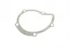 PA7409 Помпа води Citroen C4-C8/Jumpy 2.0-2.2HDi/Fiat Scudo 2.0D/Ford Focus 2.0TDCI 01- (B/B)(8лоп) BUGATTI підбір по vin на Brocar