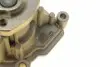 PA10043 Помпа води Audi A3/Seat Ibiza/Skoda Fabia/Octavia/VW Golf/Passat 1.6/1.6FSI 03- BUGATTI підбір по vin на Brocar