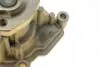 PA10043 Помпа води Audi A3/Seat Ibiza/Skoda Fabia/Octavia/VW Golf/Passat 1.6/1.6FSI 03- BUGATTI підбір по vin на Brocar