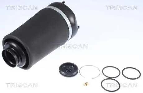 872023101 Пневмобаллон Mercedes-Benz MB164 05-13 TRISCAN підбір по vin на Brocar