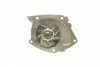 PA10006 Помпа воды Renault Trafic/Master/Megane/Scenic/Opel Vivaro 1.8 16V/1.9dCi/DTI/2.0 99- (B/B) (10лоп) BUGATTI підбір по vin на Brocar