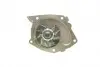 PA10006 Помпа воды Renault Trafic/Master/Megane/Scenic/Opel Vivaro 1.8 16V/1.9dCi/DTI/2.0 99- (B/B) (10лоп) BUGATTI підбір по vin на Brocar