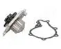 PQ339 Помпа води Berlingo, C2, C3, C4 1.6HDI, FIAT Scudo, FORD Fiesta, JAPANPARTS підбір по vin на Brocar