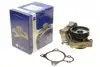 Помпа воды Citroen Jumper/Peugeot Boxer 3.0HDi/Fiat Ducato 2.3D/3.0D/Iveco 06- (R/B) (7 лоп) (6 кан) PA10125