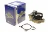 PA10125 Помпа воды Citroen Jumper/Peugeot Boxer 3.0HDi/Fiat Ducato 2.3D/3.0D/Iveco 06- (R/B) (7 лоп) (6 кан) BUGATTI підбір по vin на Brocar