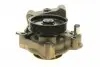 PA10125 Помпа воды Citroen Jumper/Peugeot Boxer 3.0HDi/Fiat Ducato 2.3D/3.0D/Iveco 06- (R/B) (7 лоп) (6 кан) BUGATTI підбір по vin на Brocar