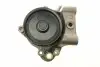 PA10125 Помпа воды Citroen Jumper/Peugeot Boxer 3.0HDi/Fiat Ducato 2.3D/3.0D/Iveco 06- (R/B) (7 лоп) (6 кан) BUGATTI підбір по vin на Brocar