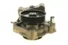 PA10125 Помпа воды Citroen Jumper/Peugeot Boxer 3.0HDi/Fiat Ducato 2.3D/3.0D/Iveco 06- (R/B) (7 лоп) (6 кан) BUGATTI підбір по vin на Brocar