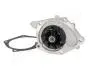 PQ177 Помпа води Laguna,Megane II 1.9dCI 03-,Nissan Primera 1.9dci -2 JAPANPARTS підбір по vin на Brocar