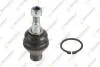 Кульова опора нижн.Лев./правий.Fortuner 04-,Hilux III 06- T-254