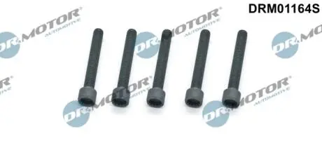 DRM01164S ŚRUBA WTRYSKIWACZA VW CRAFTER 2,5 TDI 06- 5SZT. DR.MOTOR подбор по vin на Brocar