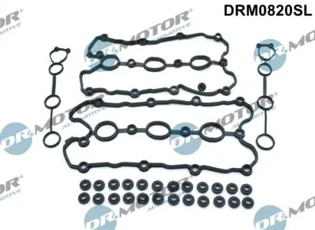 DRM0820SL ZESTAW USZCZELEK POK. ZAW. VW GOLF 1,6 05- DUŻY DR.MOTOR підбір по vin на Brocar