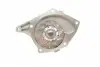 PA10209 Помпа води Renault Kangoo/Megane/Scenic/Laguna/Logan/Clio/Nissan Qashqai/Note 1.5dCi 05-(B/B)(10лоп) BUGATTI підбір по vin на Brocar